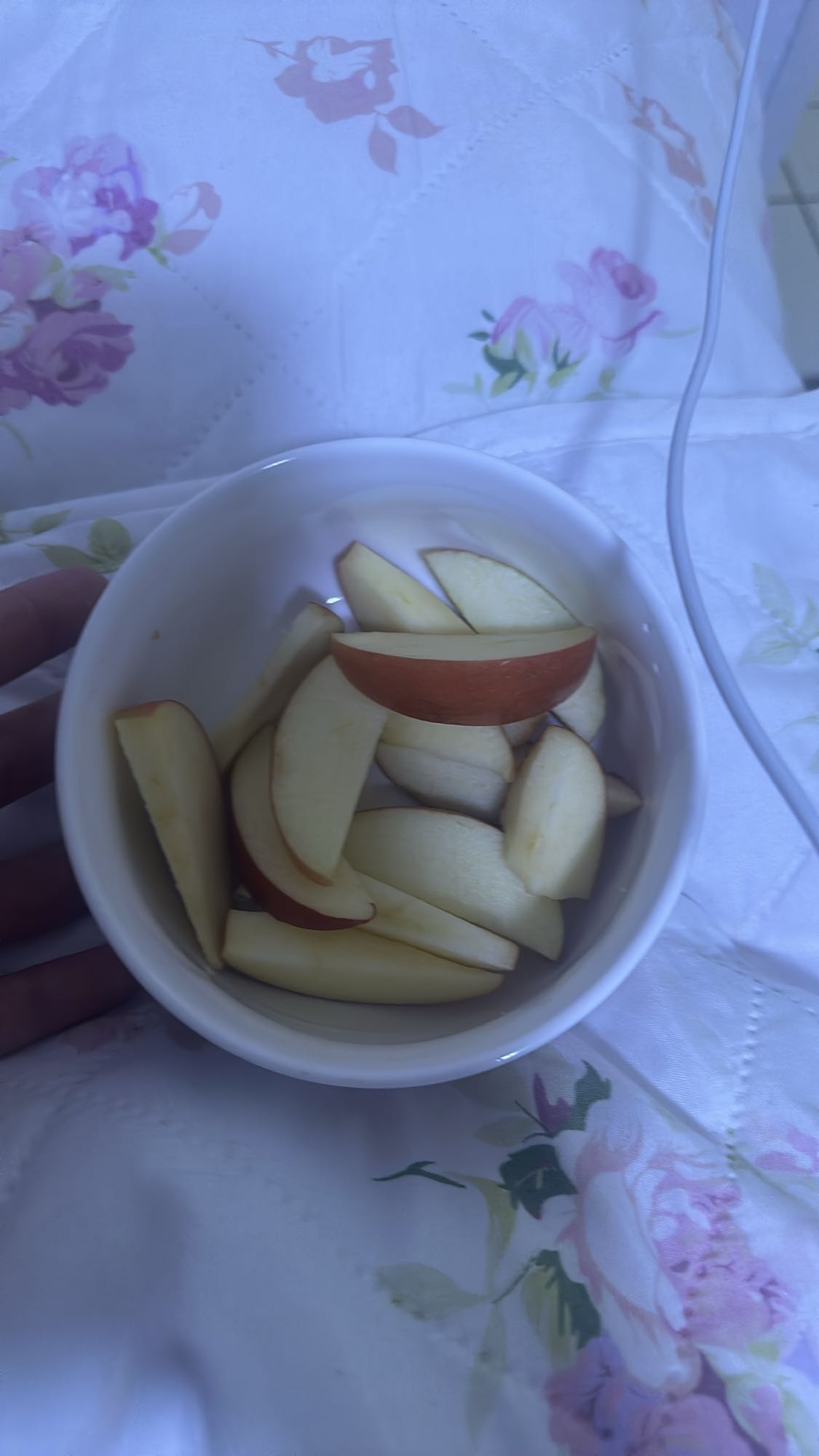 Manzana en rodajas