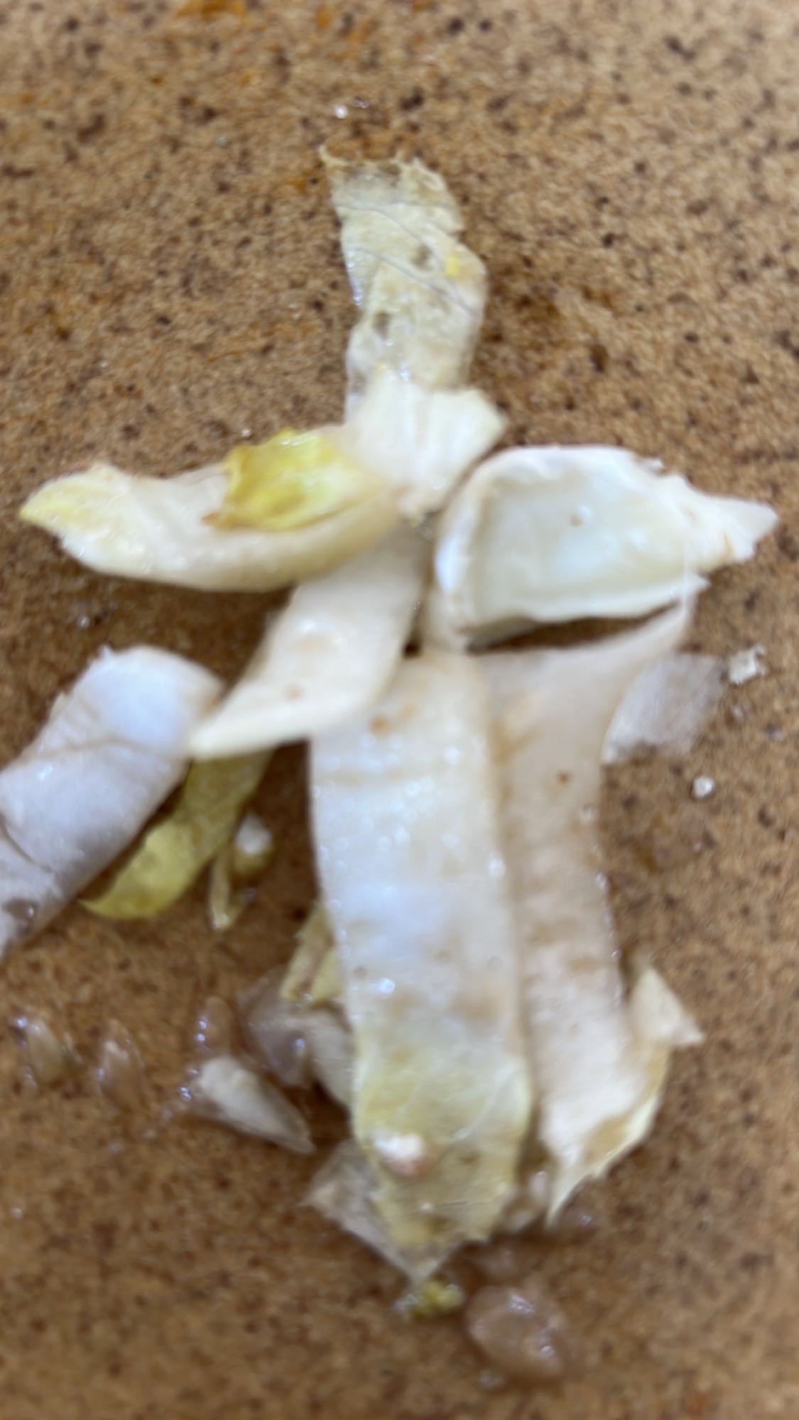 Salade d'endives