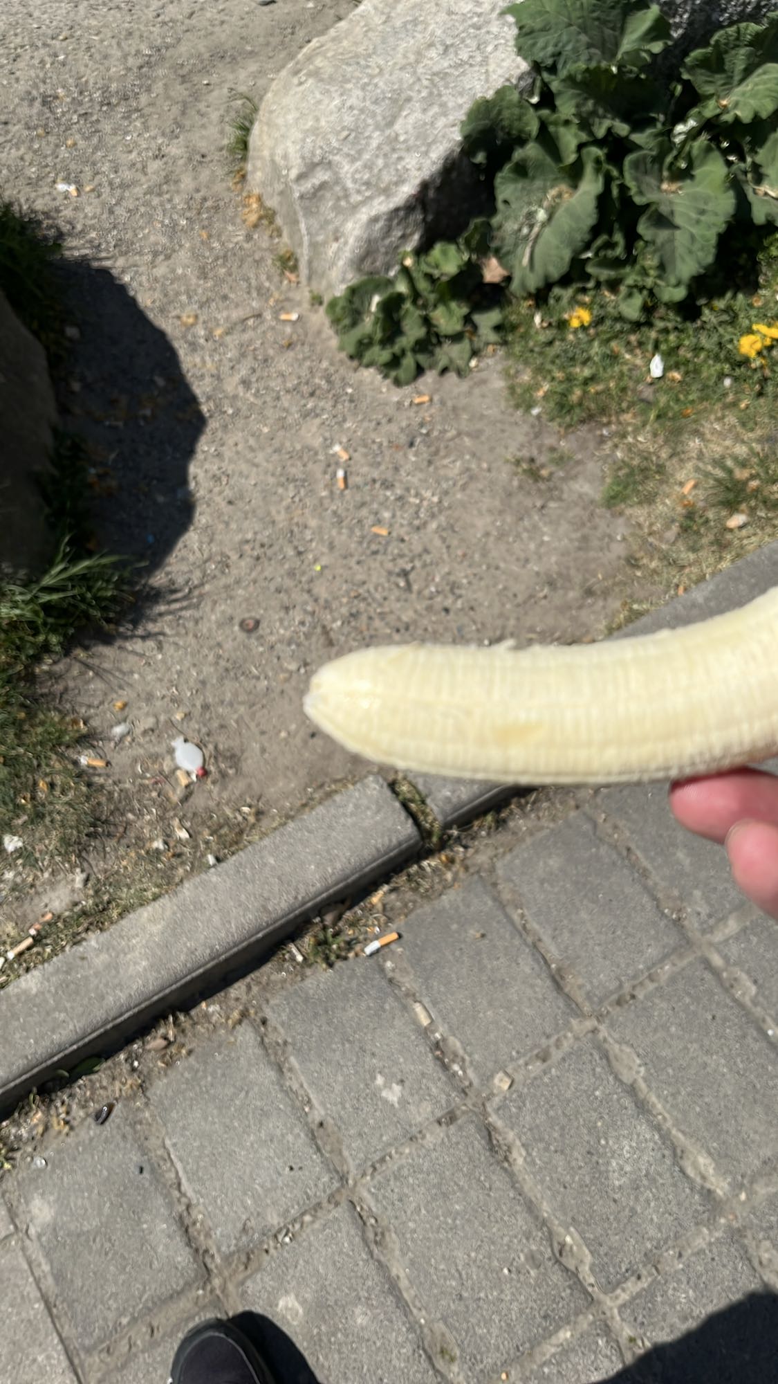 Banana snack