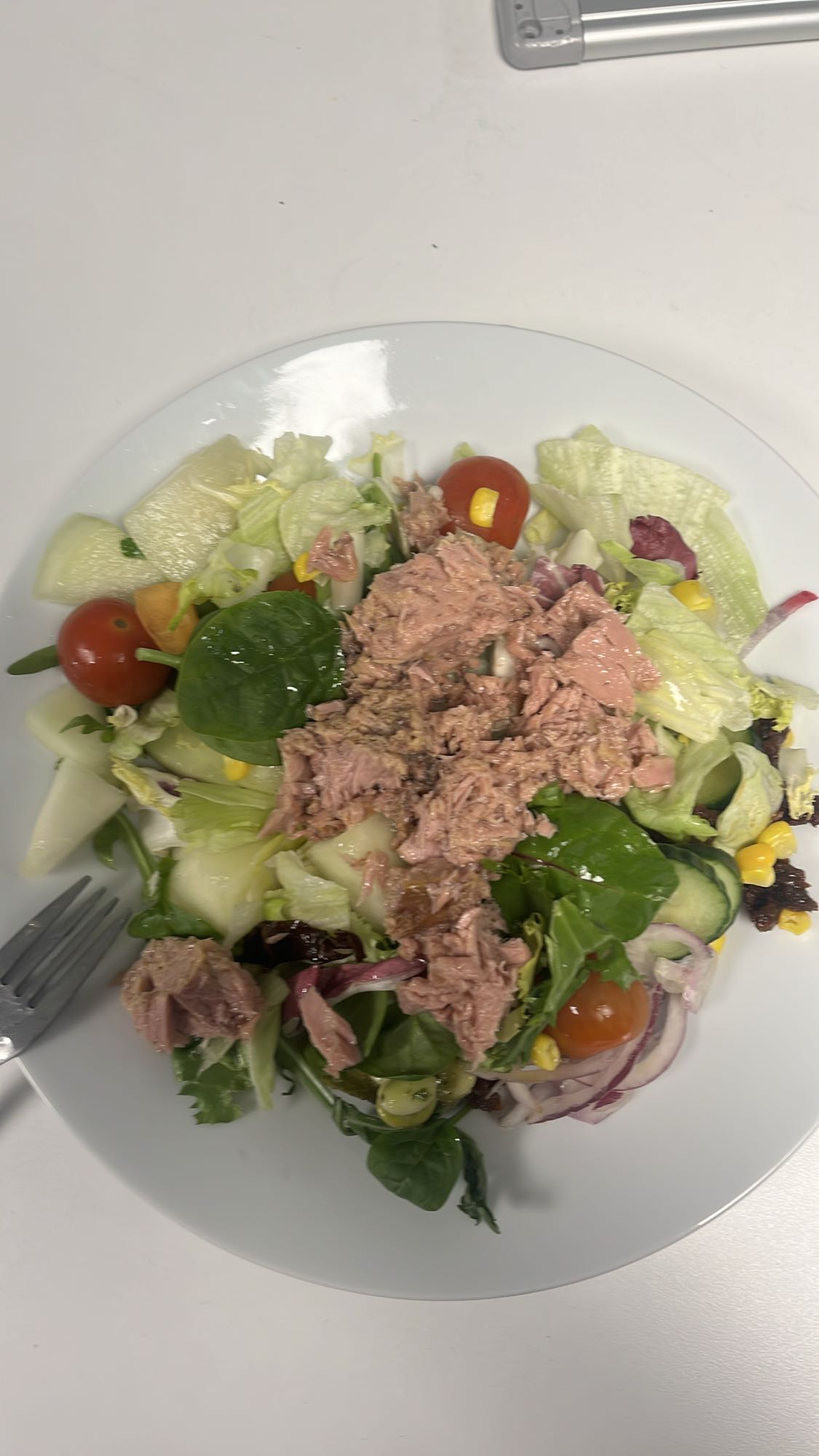 Tonfisksallad tallrik