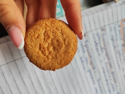 Plain Butter Cookie