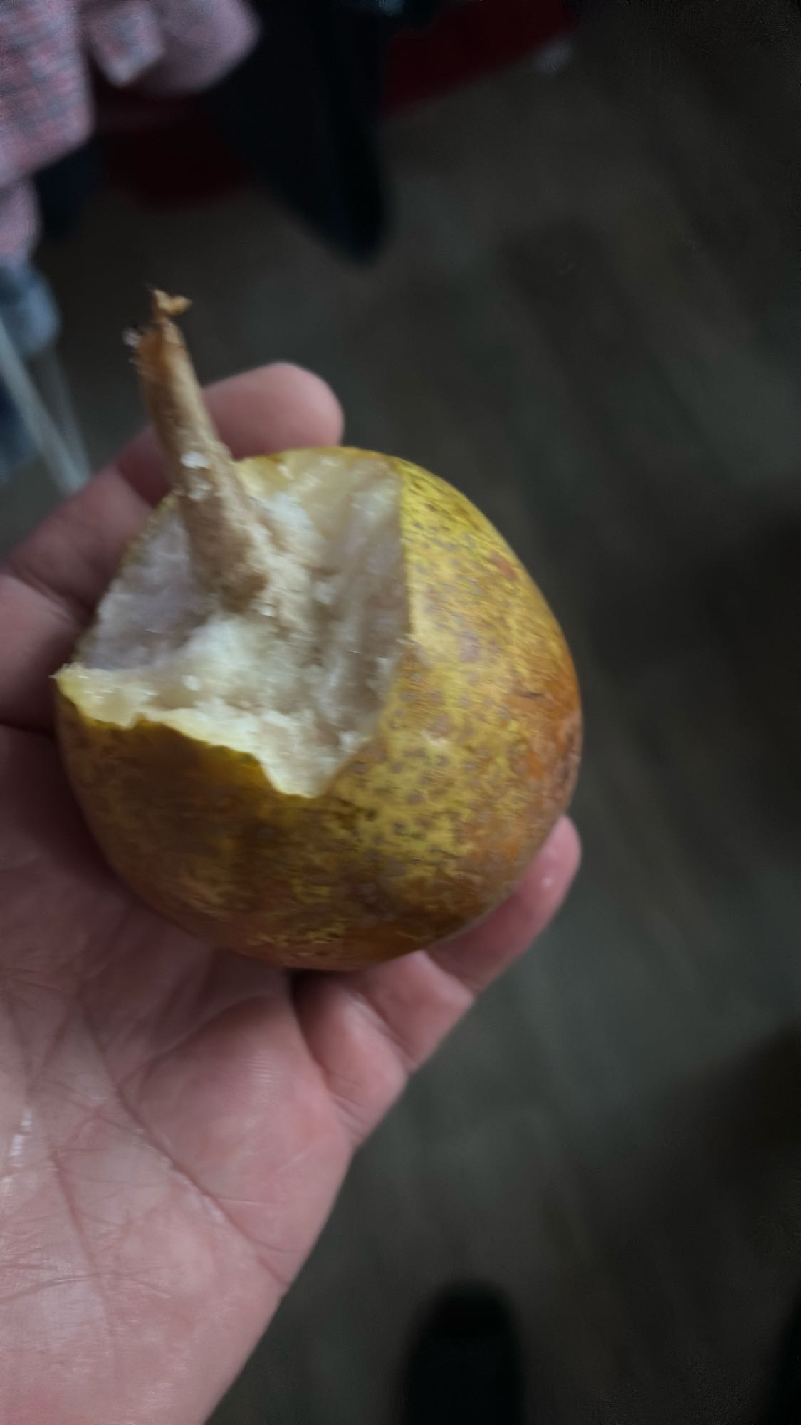 Owoc santol