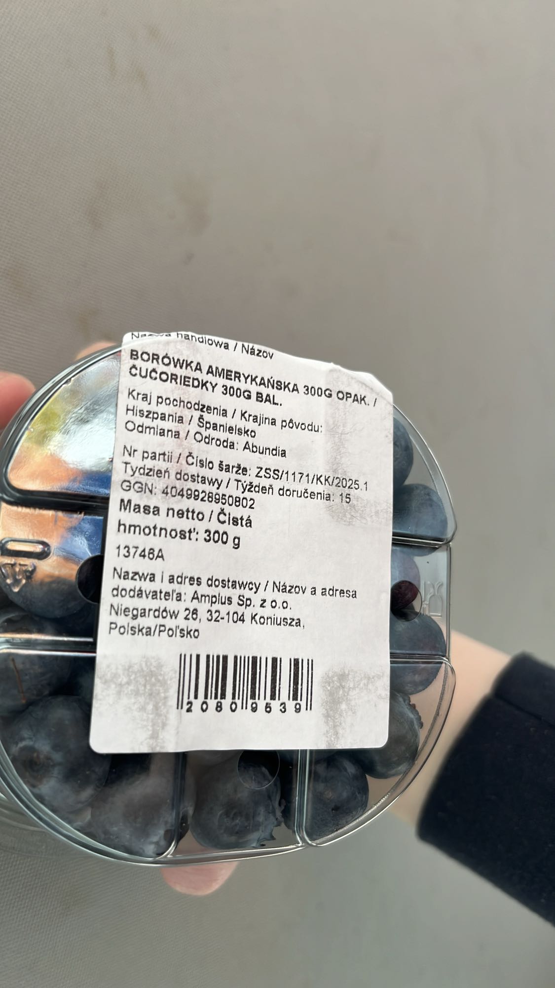 Borówki amerykańskie