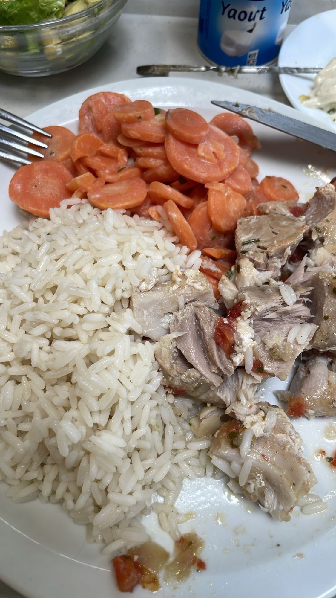 Riz, carottes, poisson
