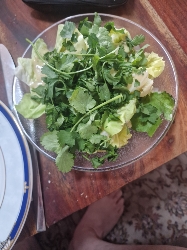 Ensalada verde fresca