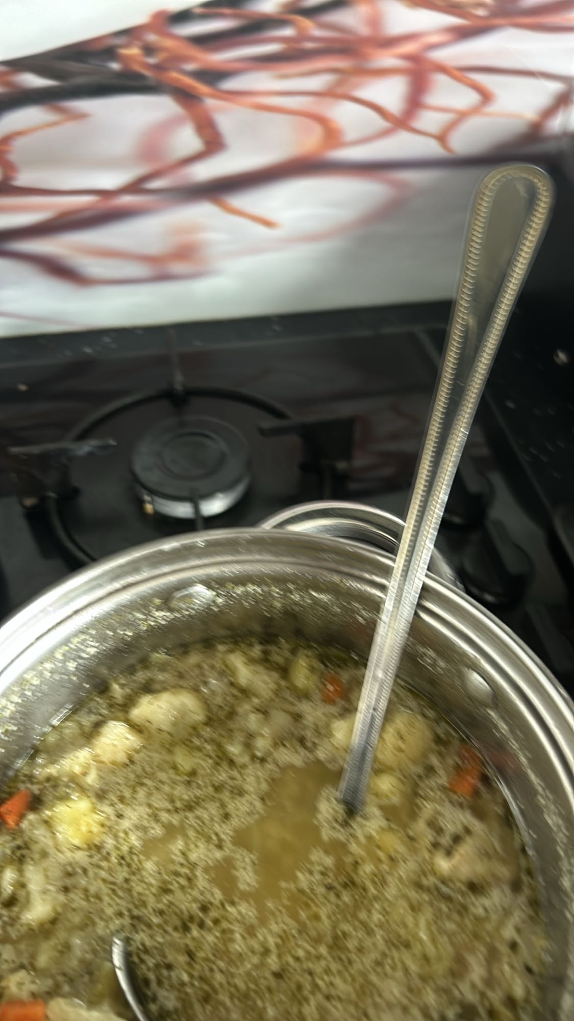 Zupa warzywna z kurczakiem