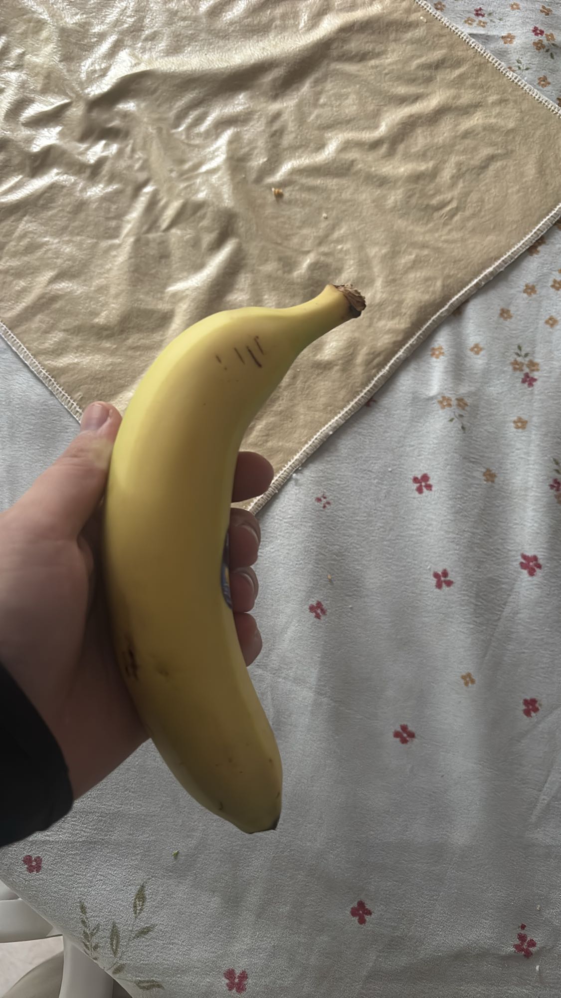 Single Banana Snack