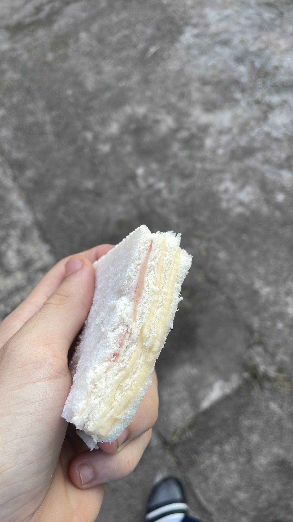 Sándwich de jamón y queso