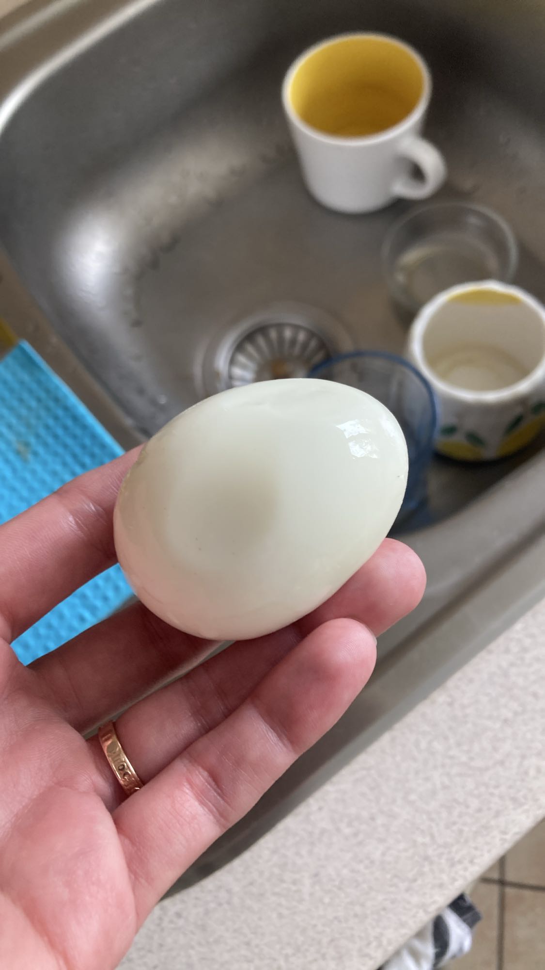 Boiled Egg
