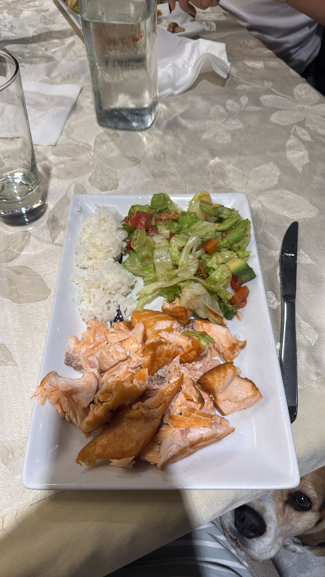 Salmón con arroz y ensalada