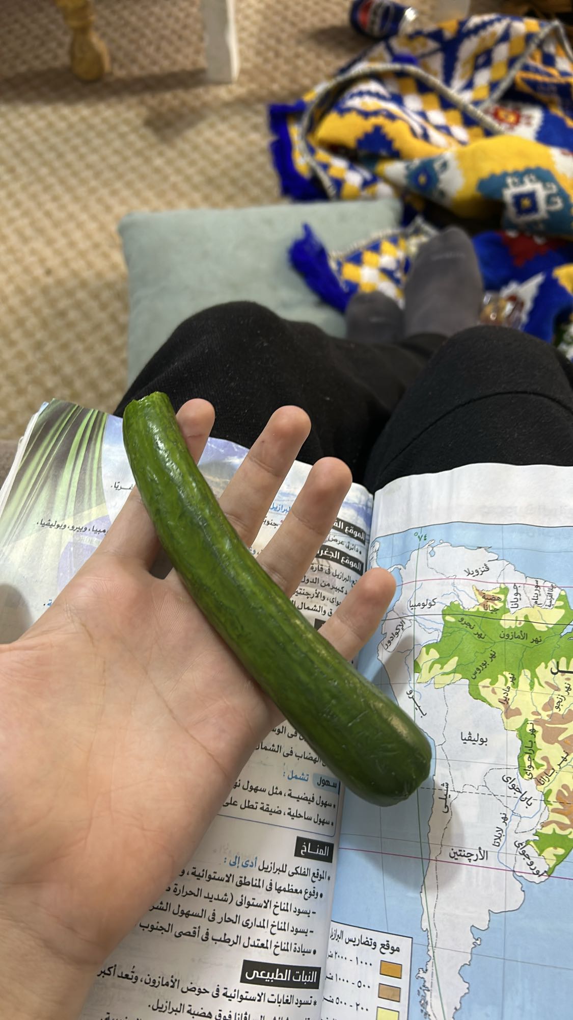 Fresh Cucumber Snack