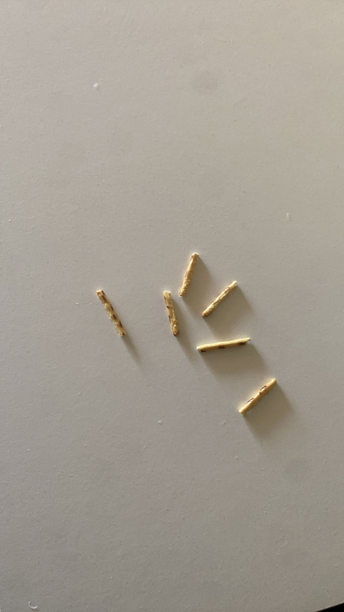 Kawałki płatków śniadaniowych