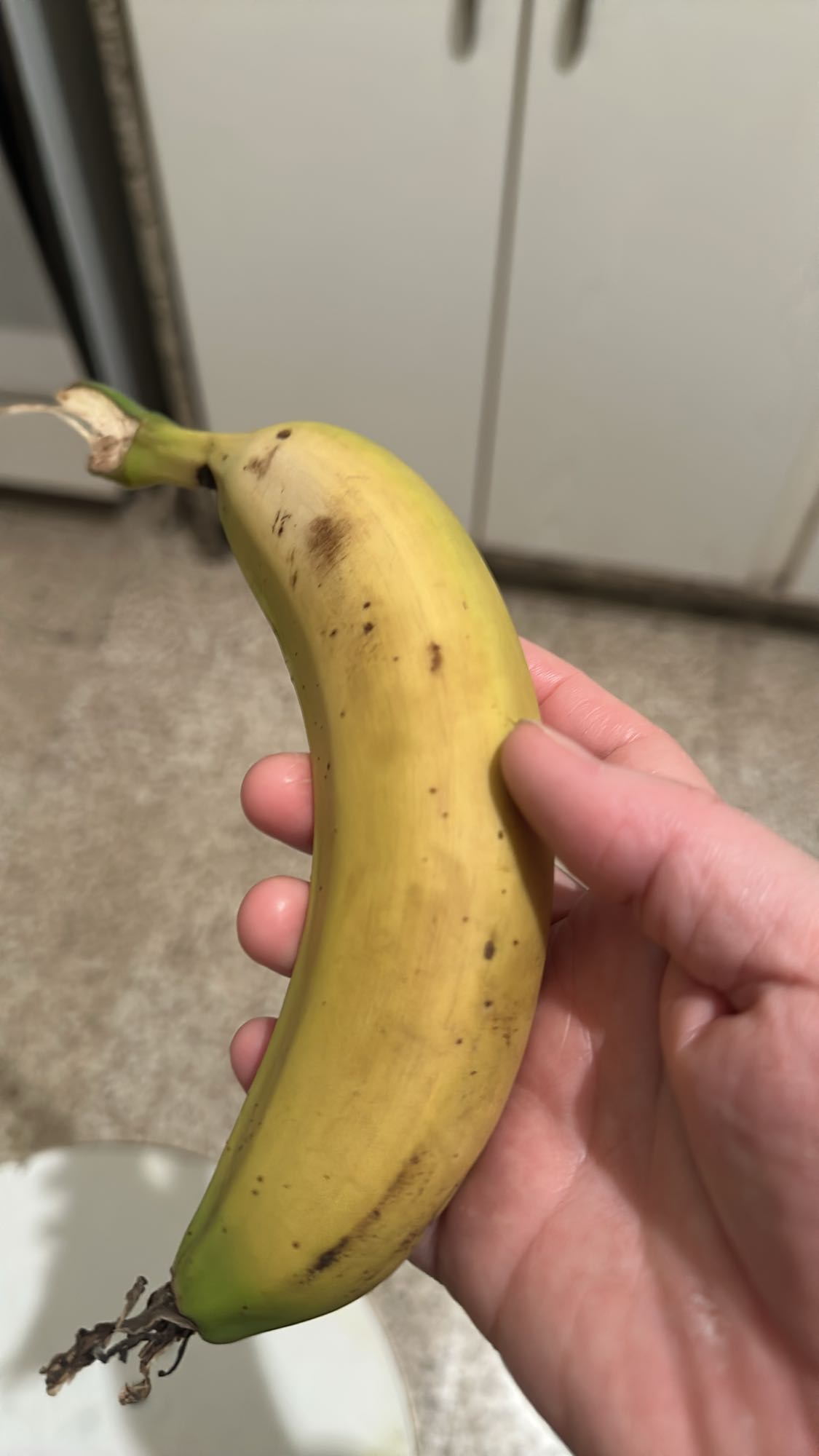 Single Banana Snack