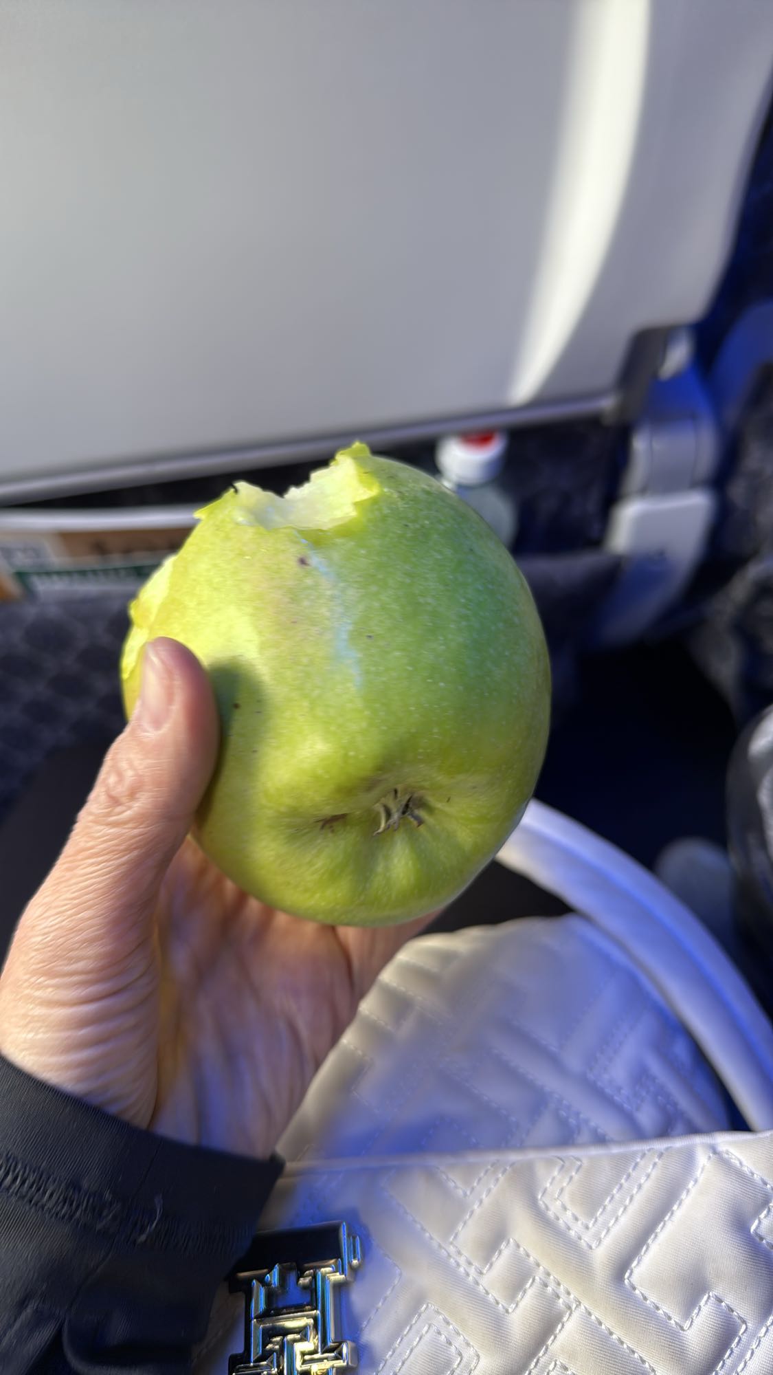 Зеленое яблоко