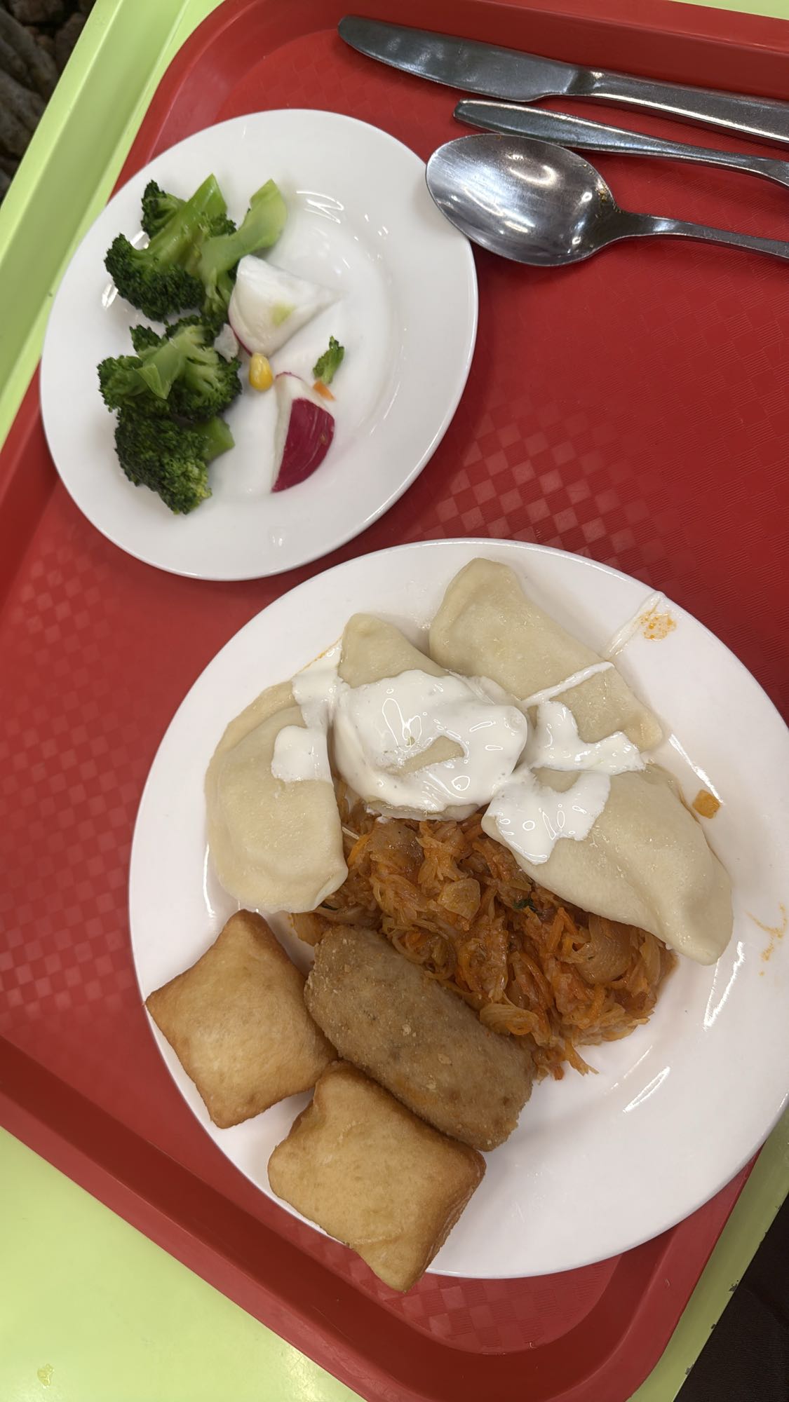 Dumplings with salad