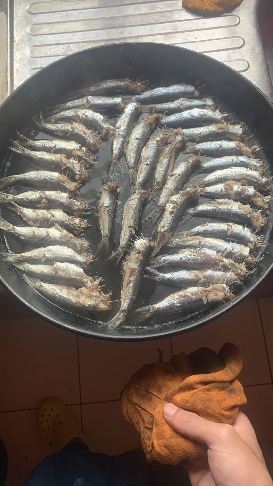 Boiled Sardines