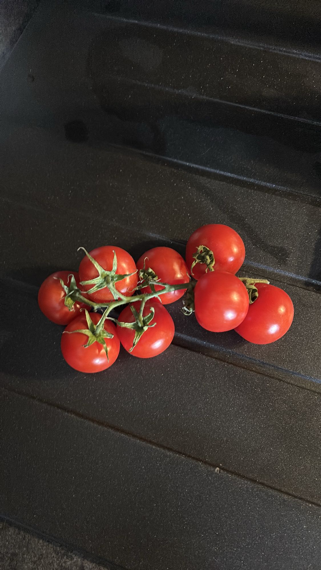 Çeri domates tabağı