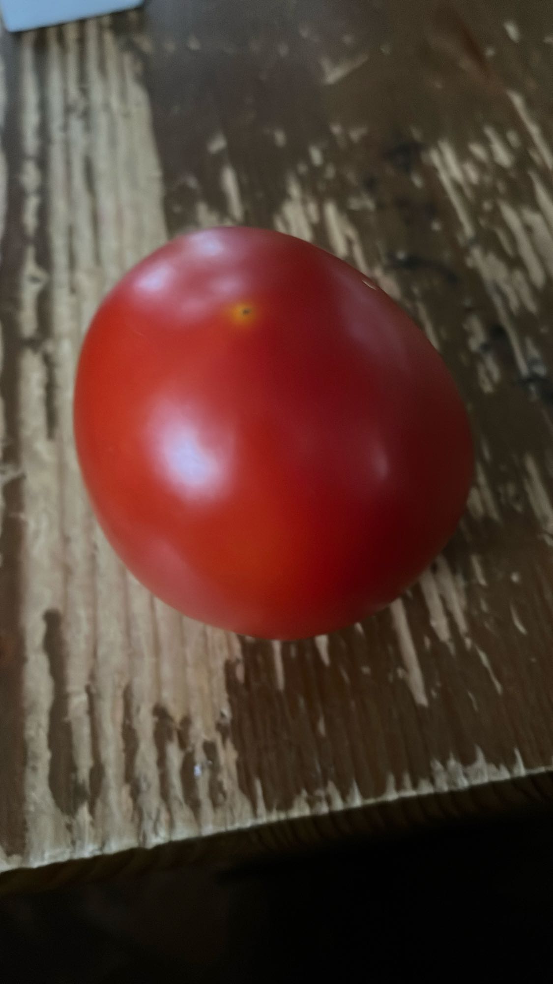 Tomate entero