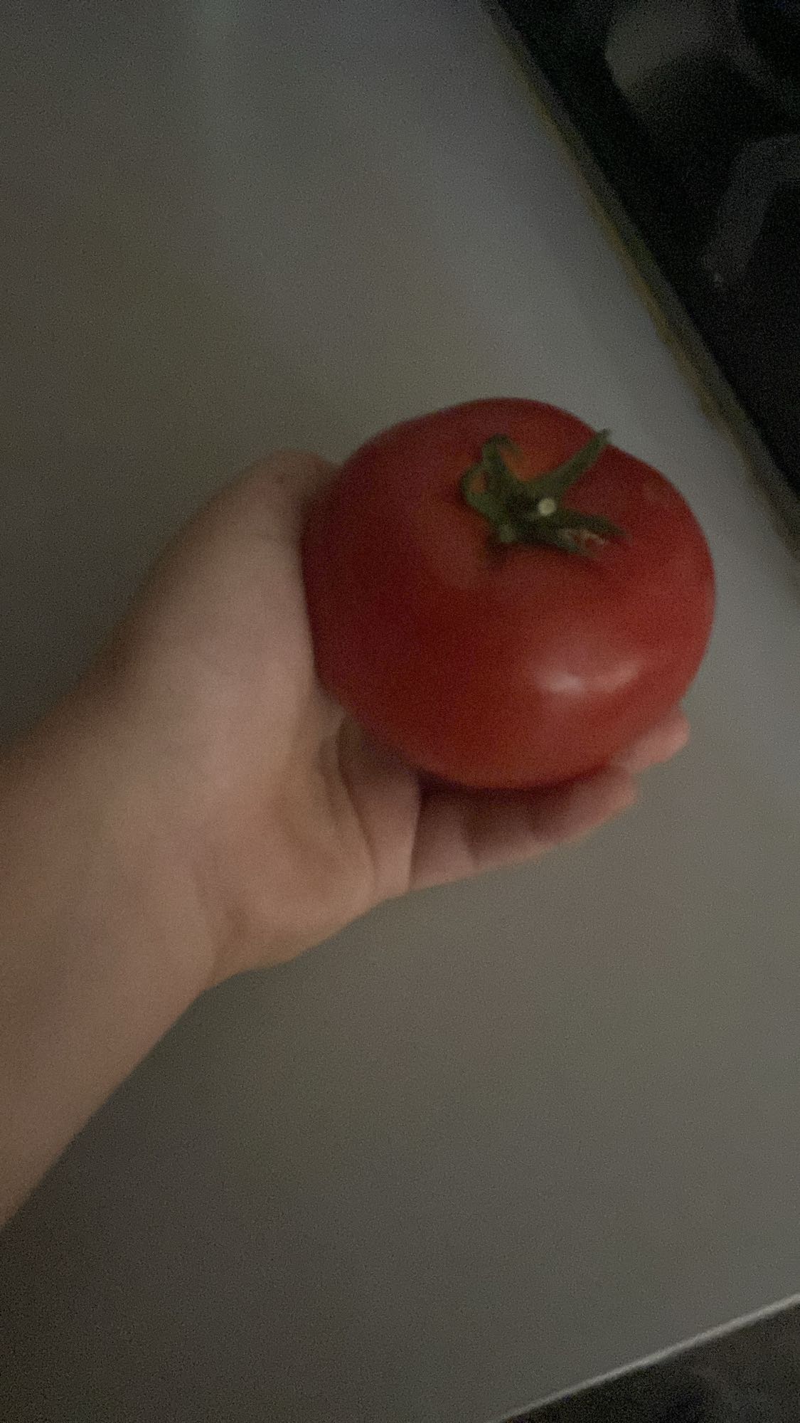 Tomate fraîche