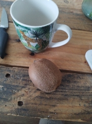 Kiwi et boisson chaude