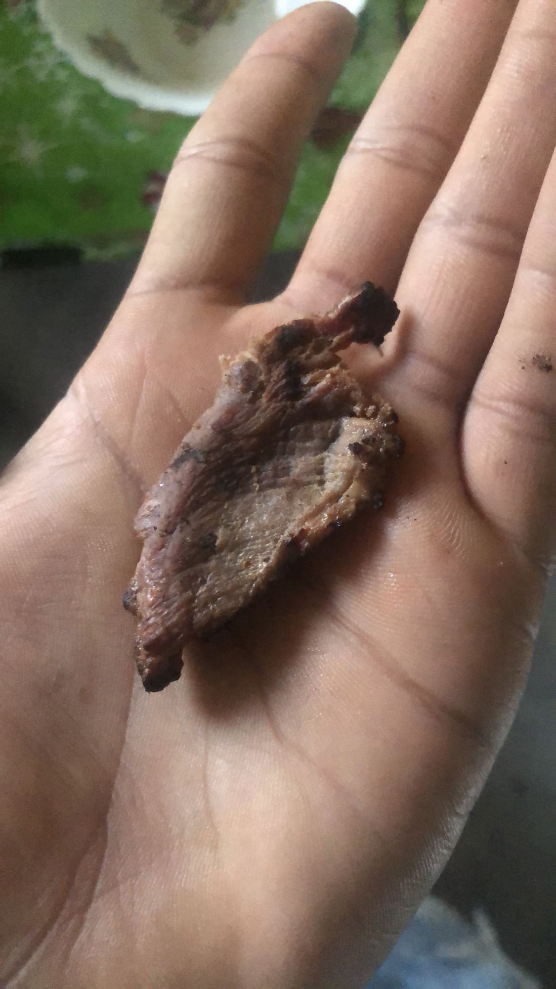 Trozito de carne asada