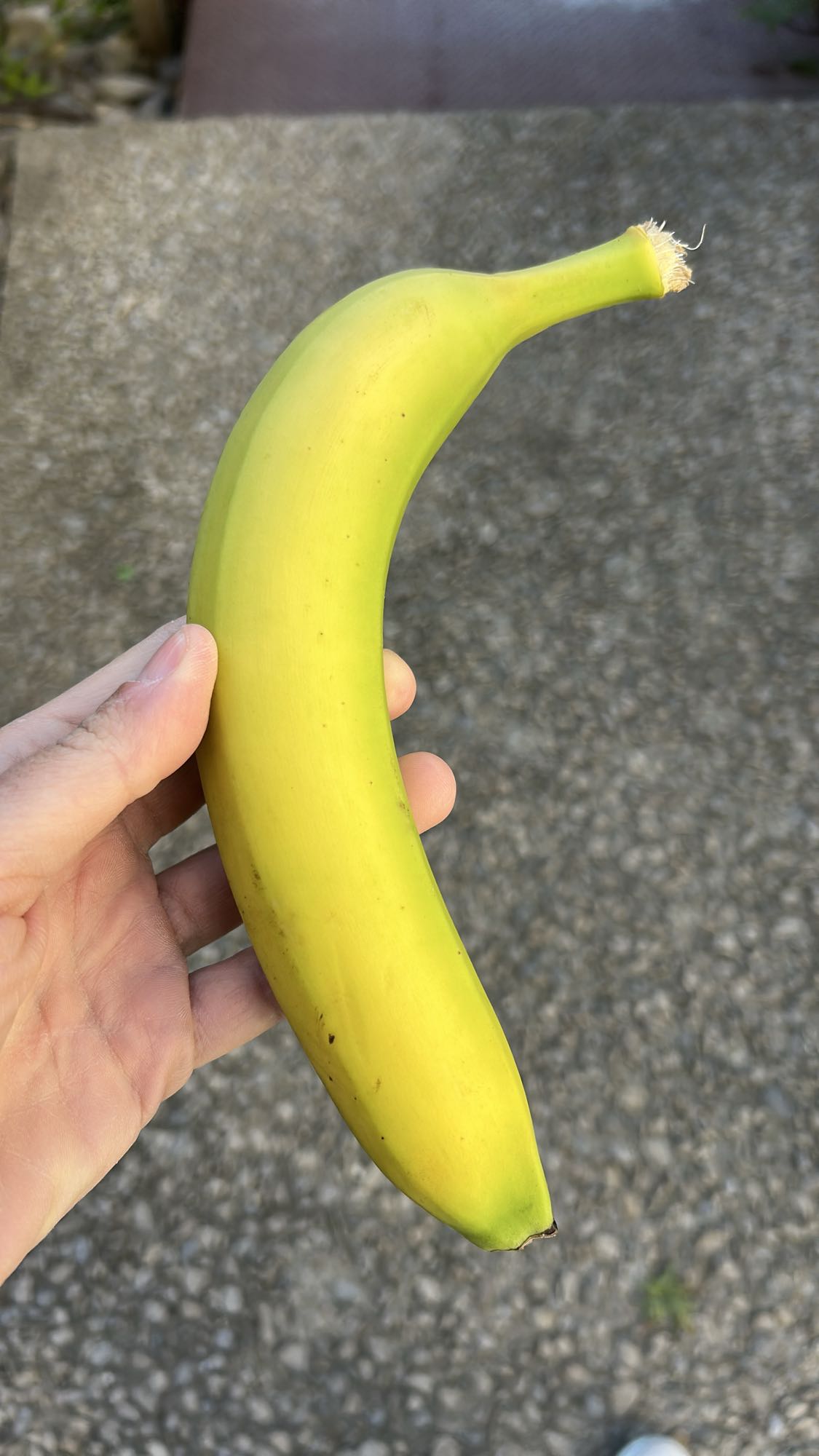 Banane entière