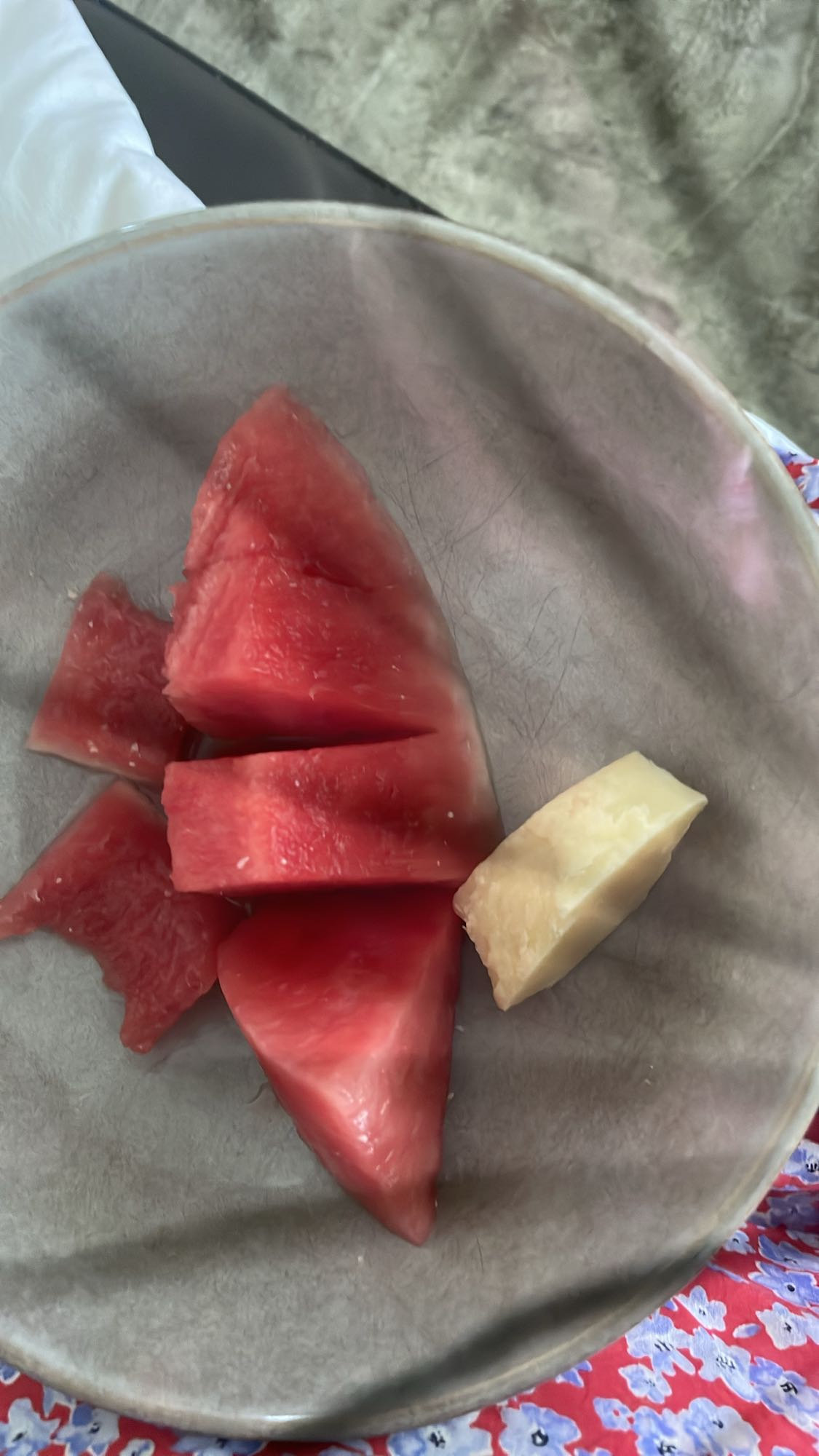 Vattenmelon och ostbit