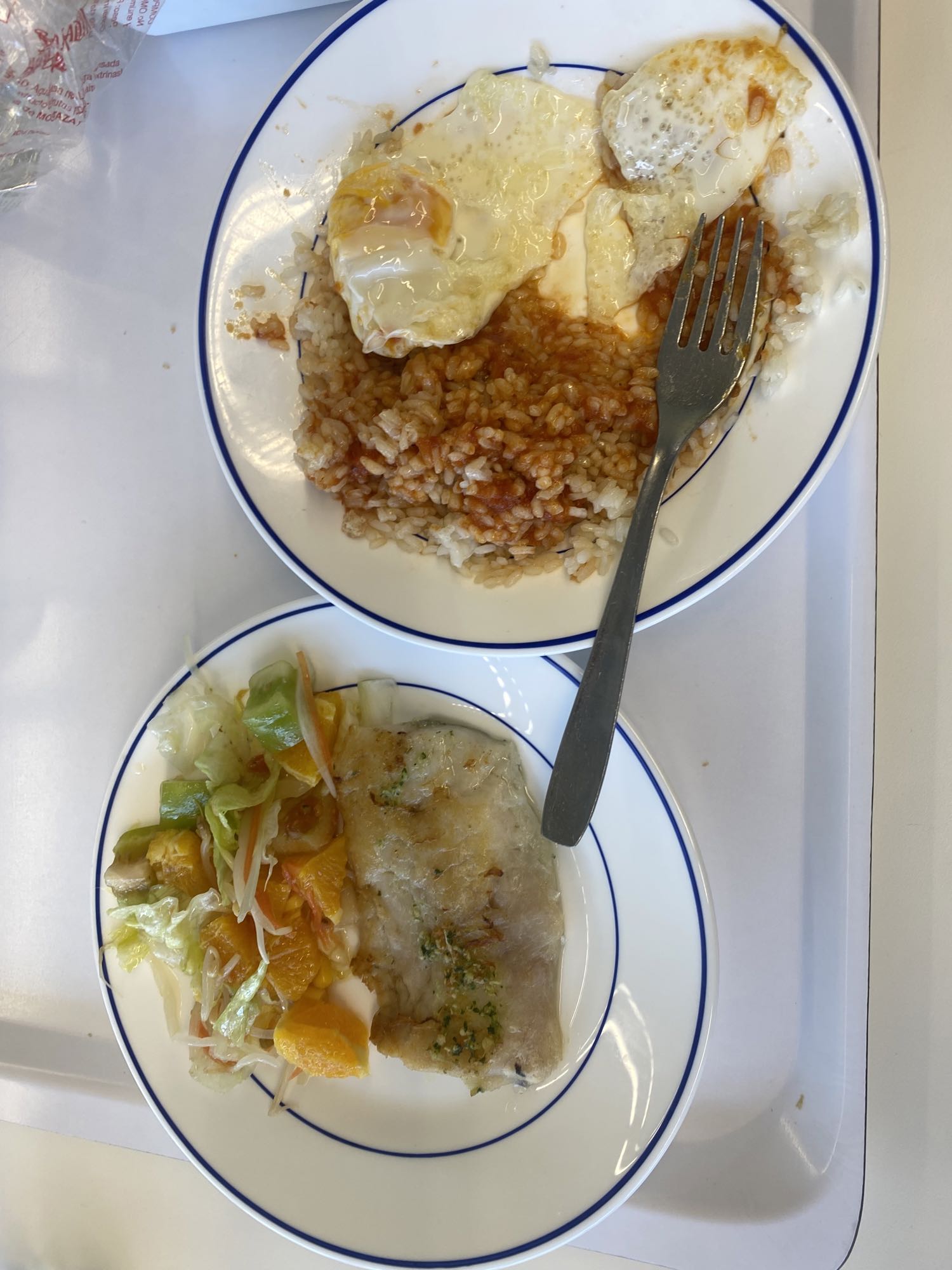 Pescado con arroz y ensalada