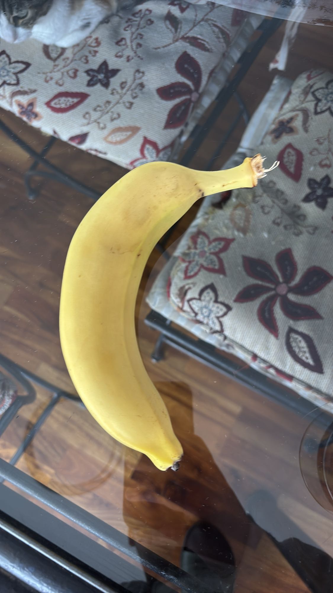 Single Banana Snack