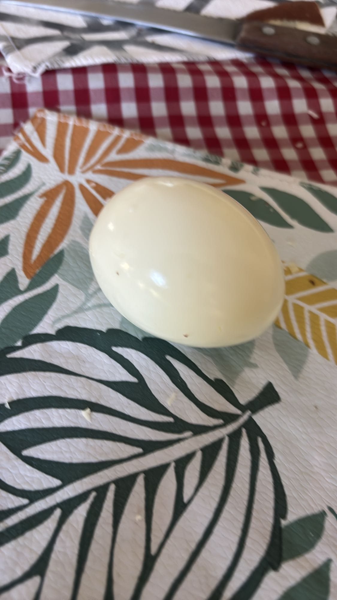 Boiled Egg