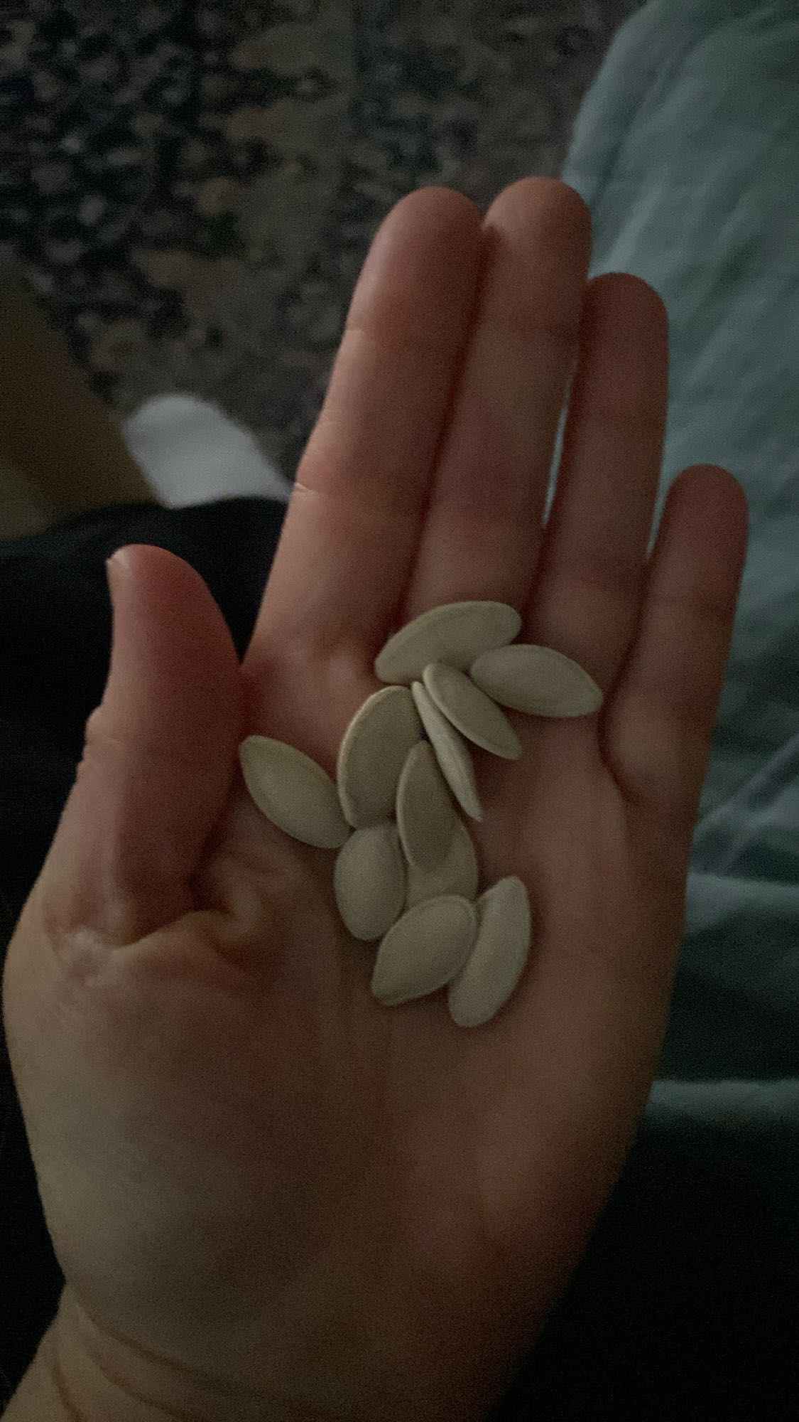 Semillas de calabaza