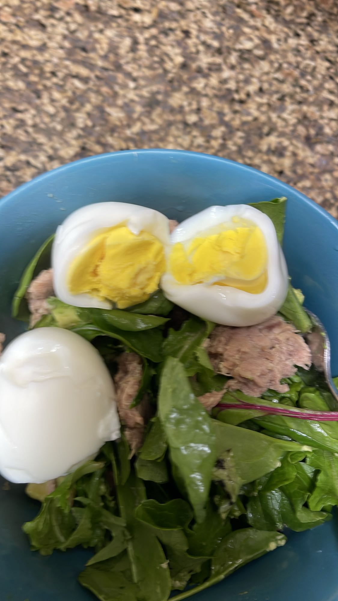 Egg Tuna Salad Bowl