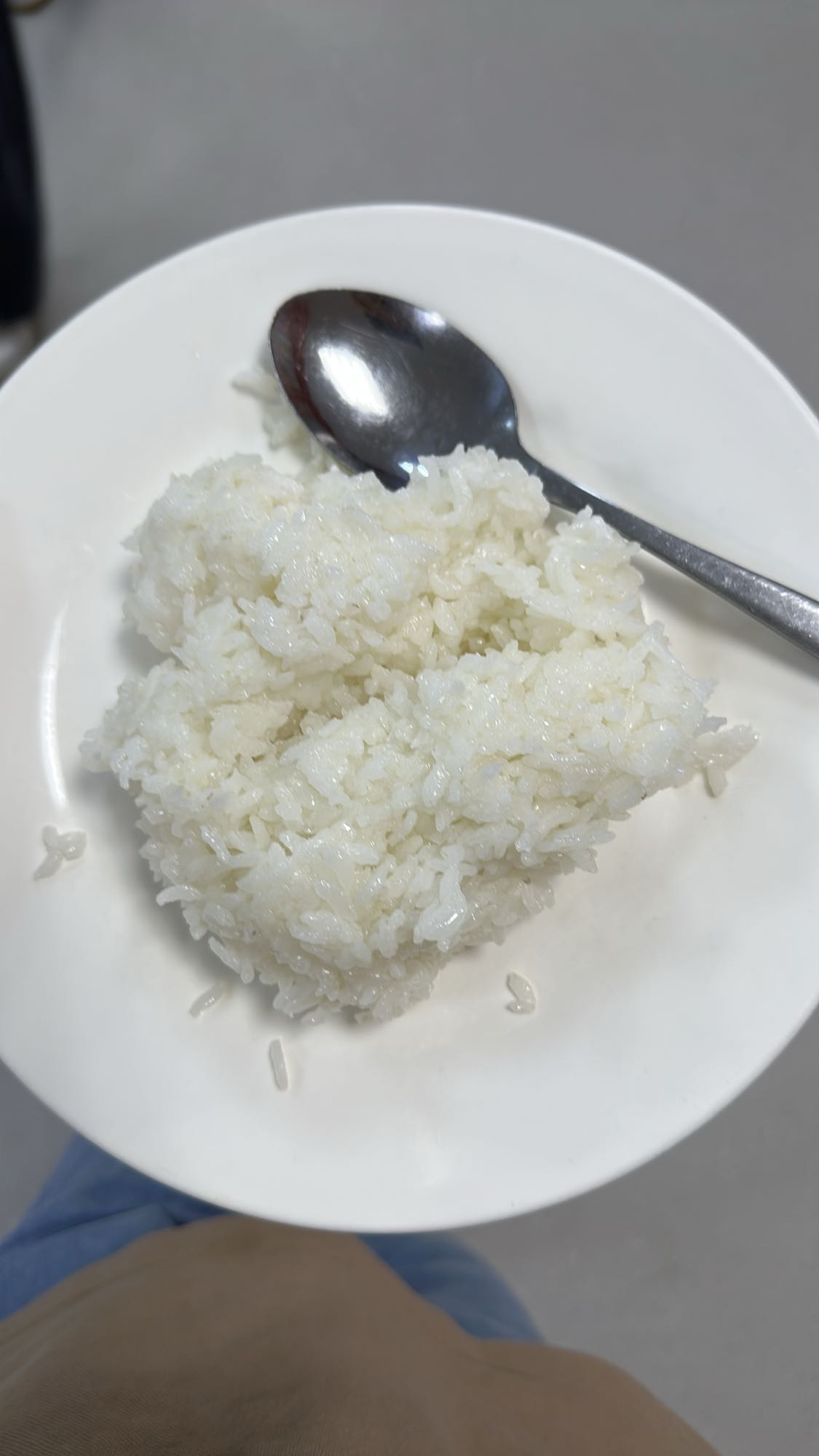 Plain white rice