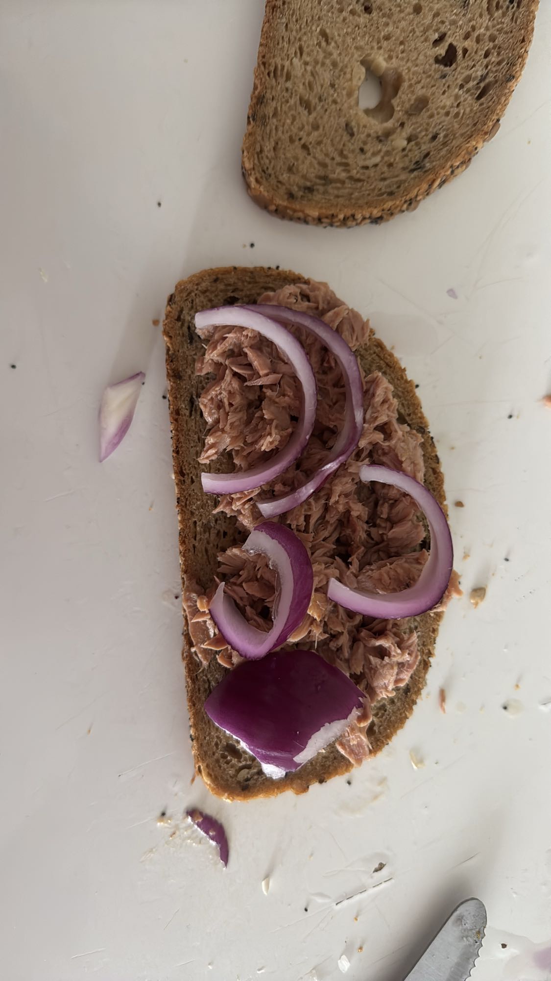Tostada de atún y cebolla