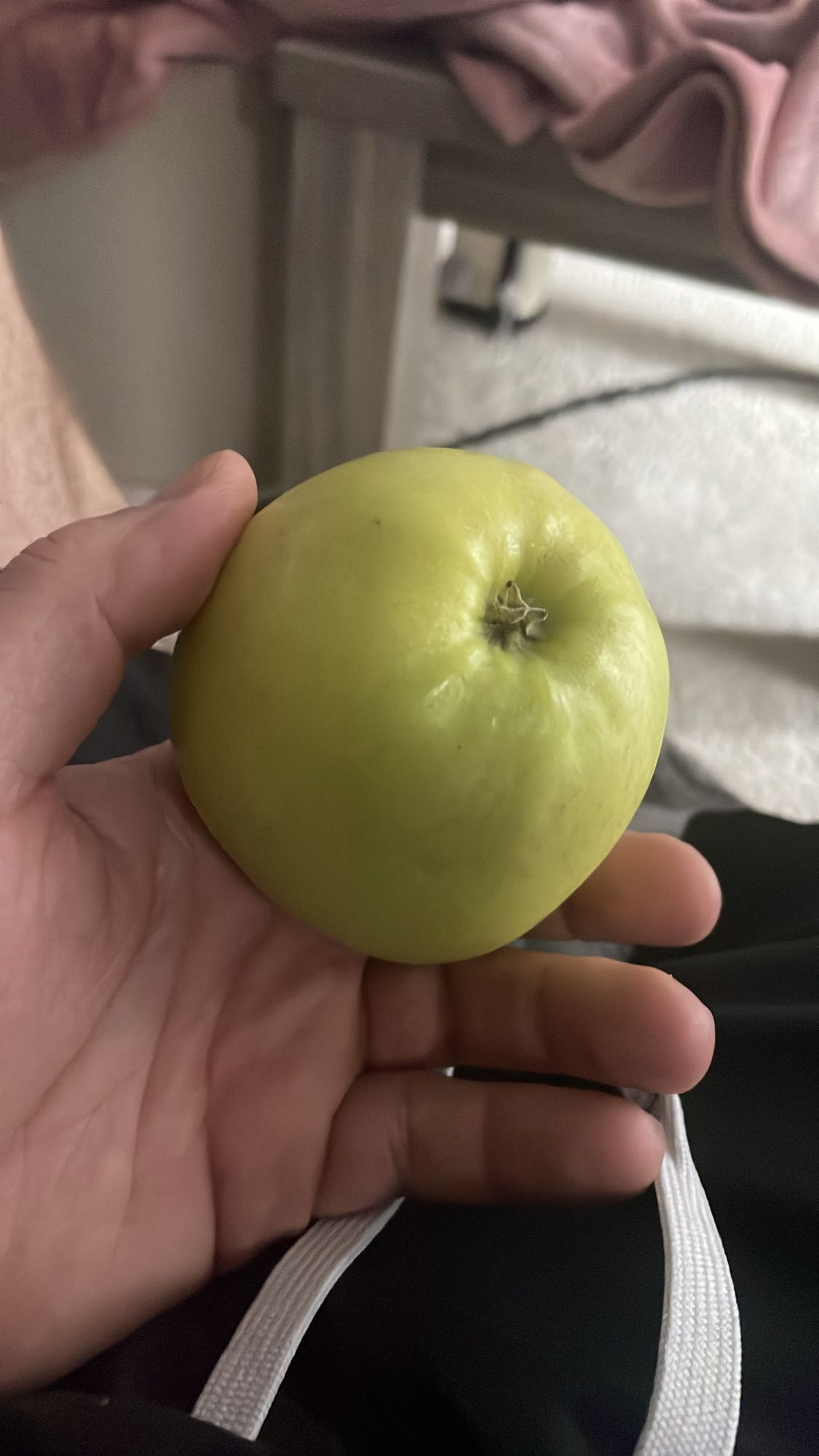 Pomme verte