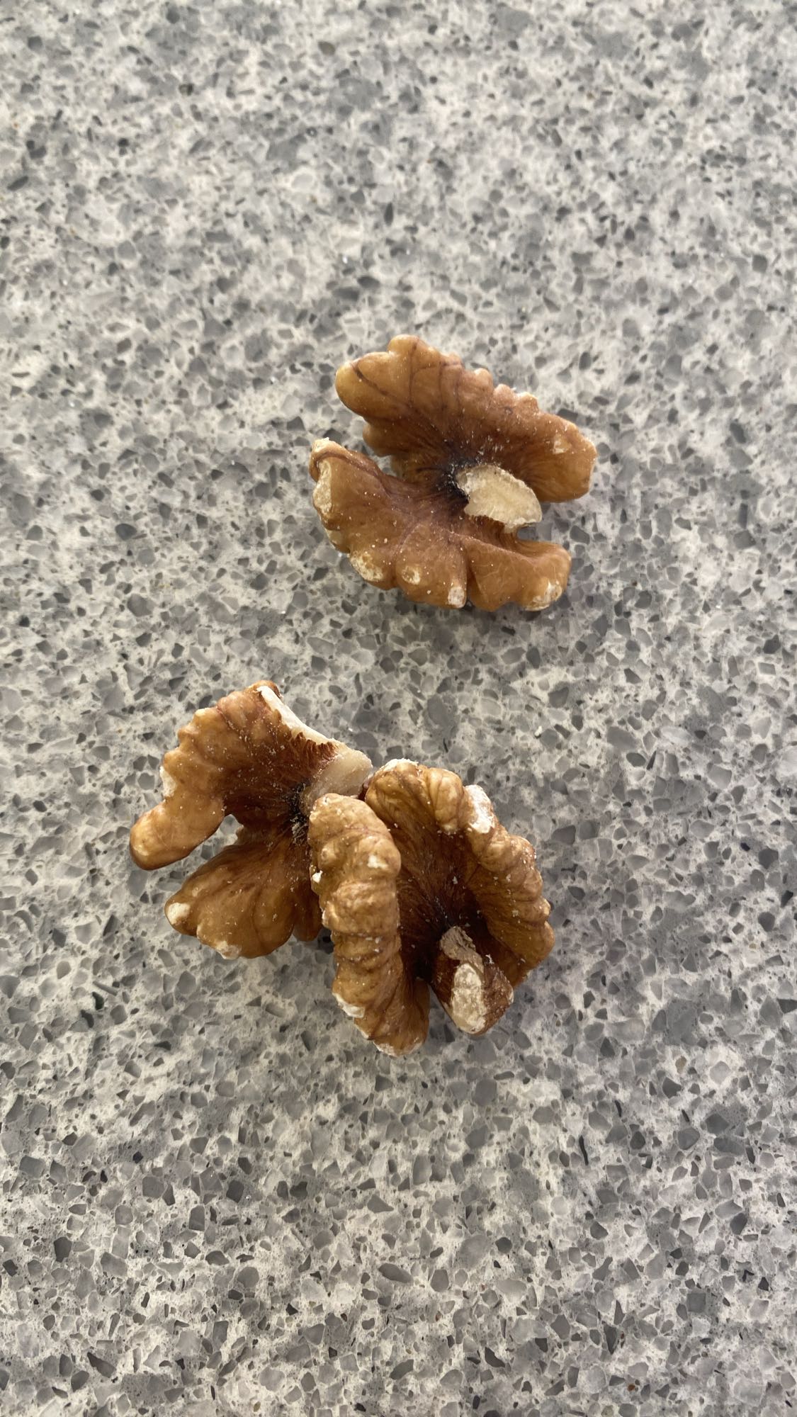 Valnötter mellanmål