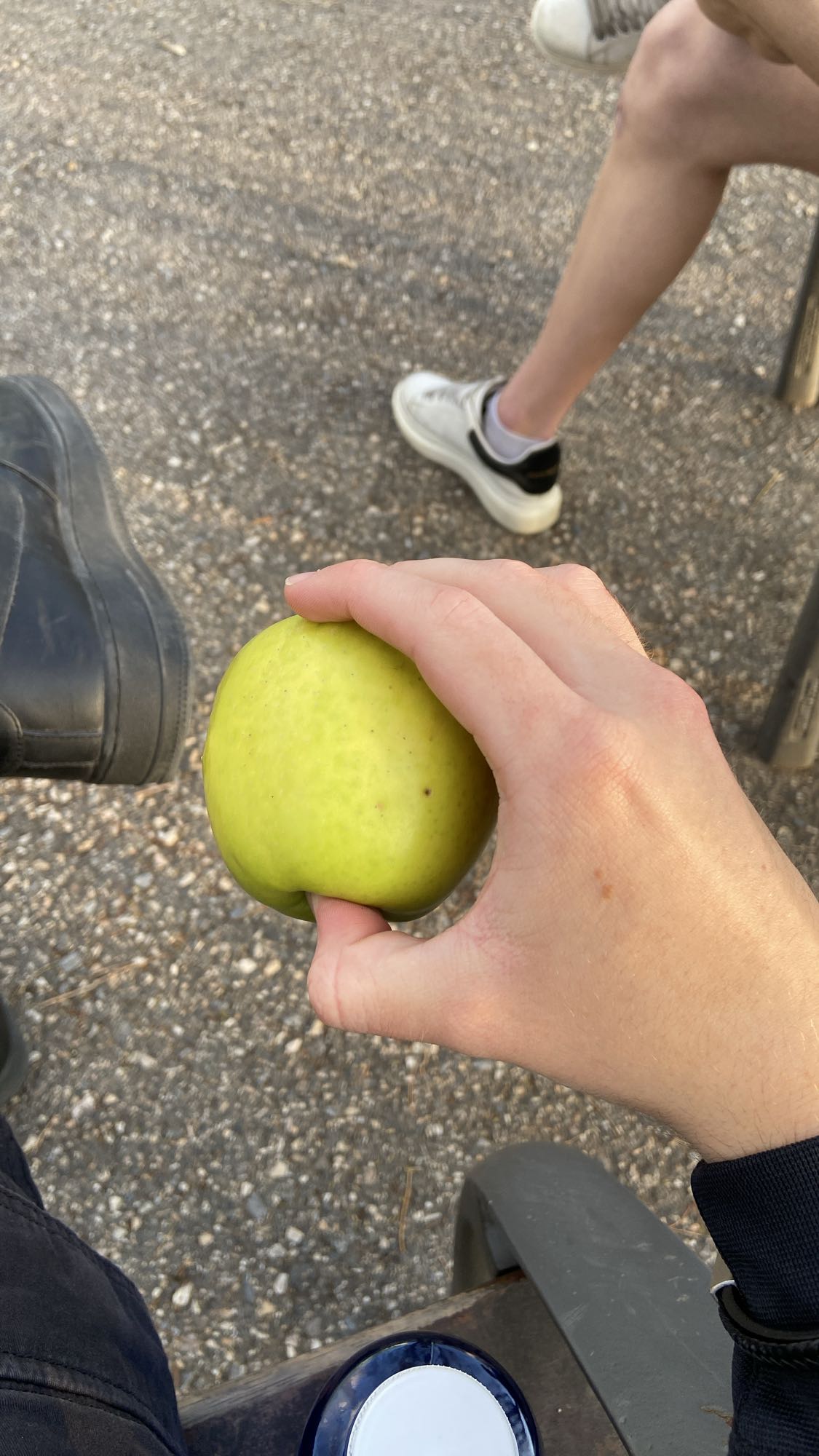 Manzana verde