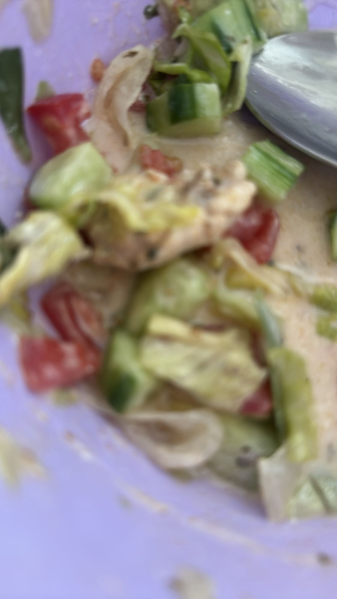 Chicken Veggie Salad