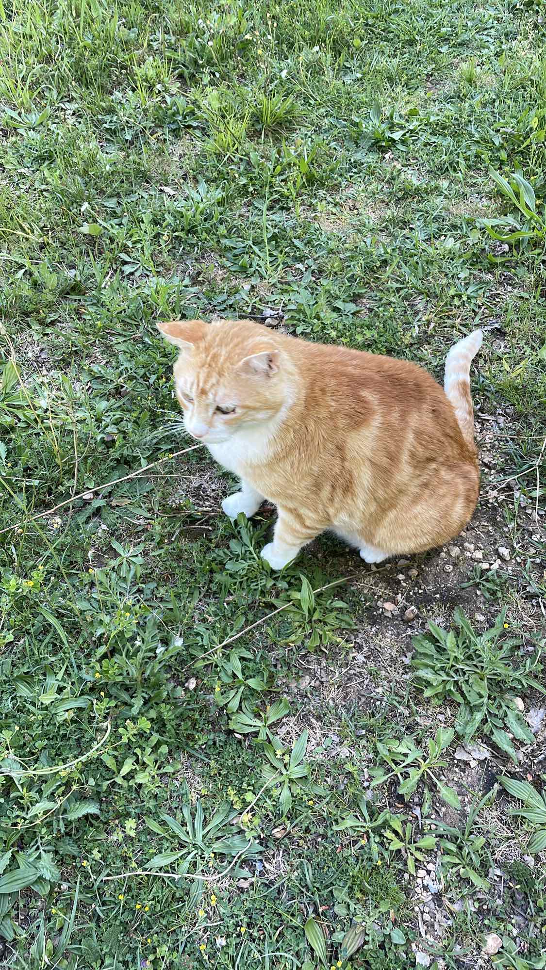 Aucun aliment visible