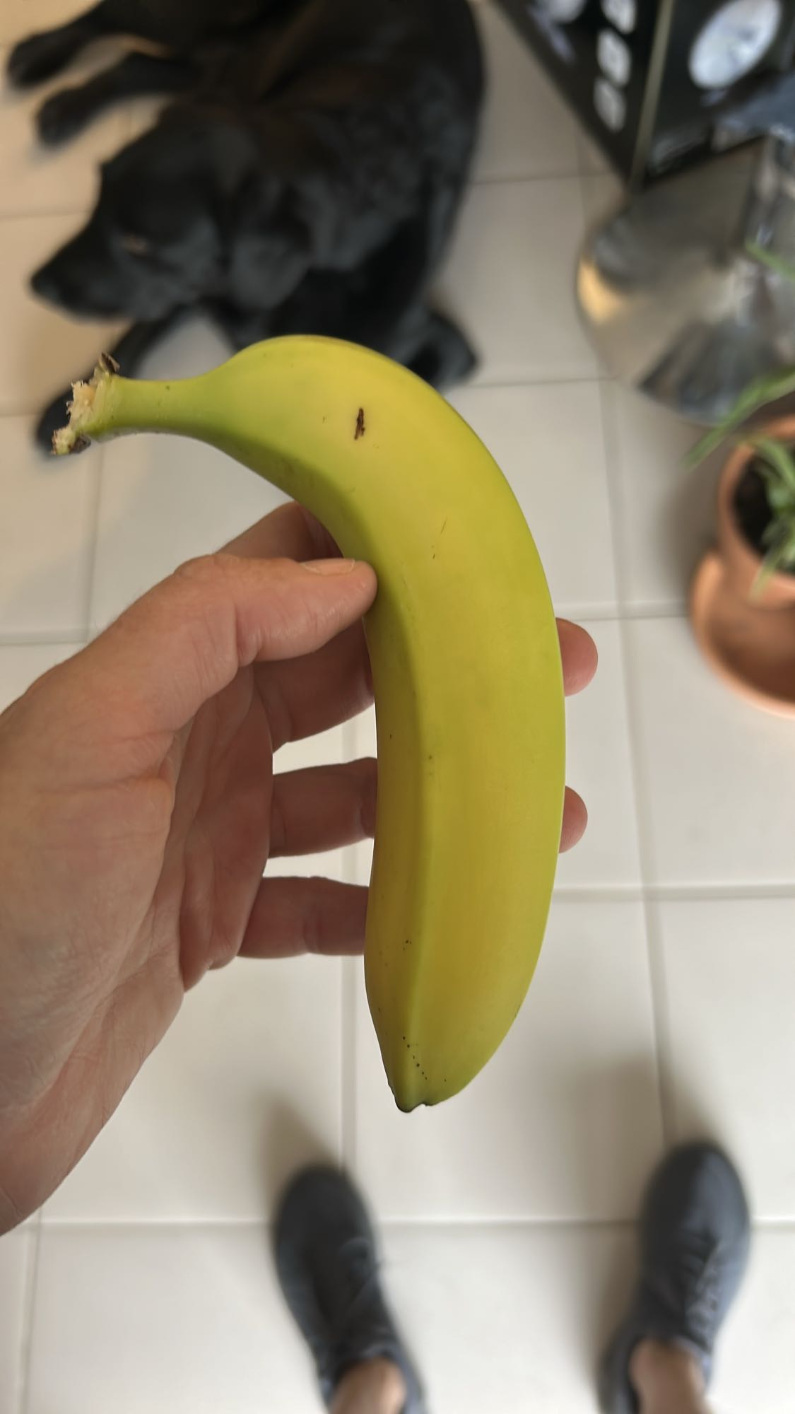 Banane fraîche