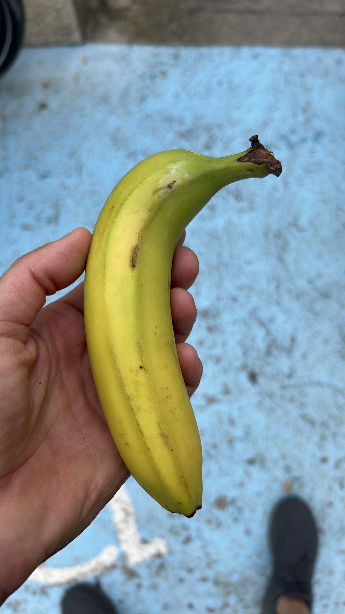 Banane fraîche