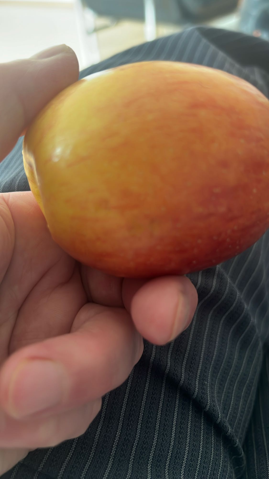 Manzana fresca
