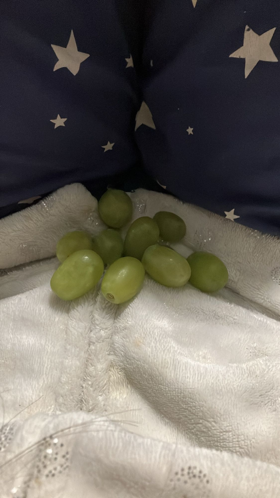 Uvas verdes