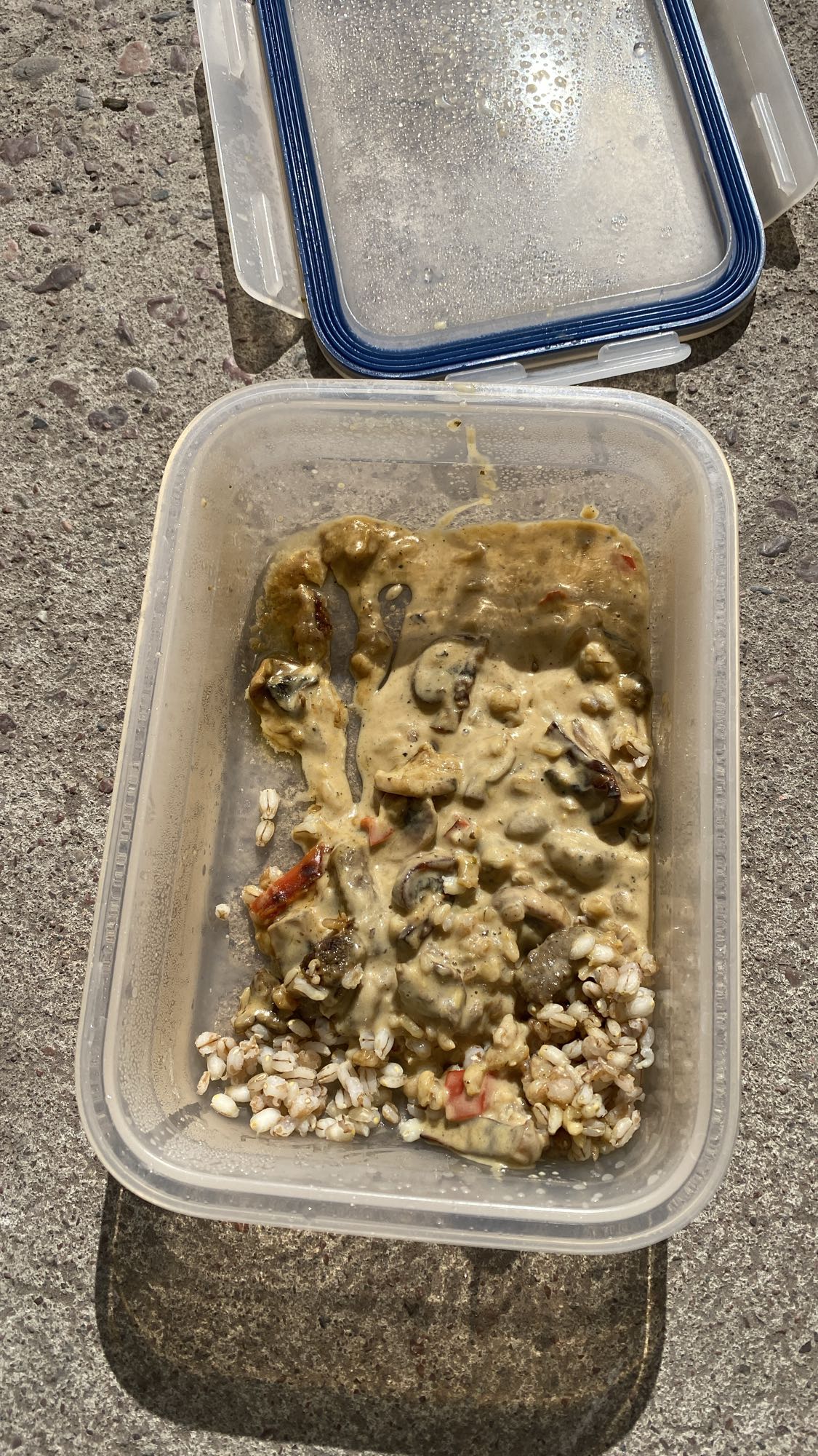 Älgköttgryta med svamp och kornris