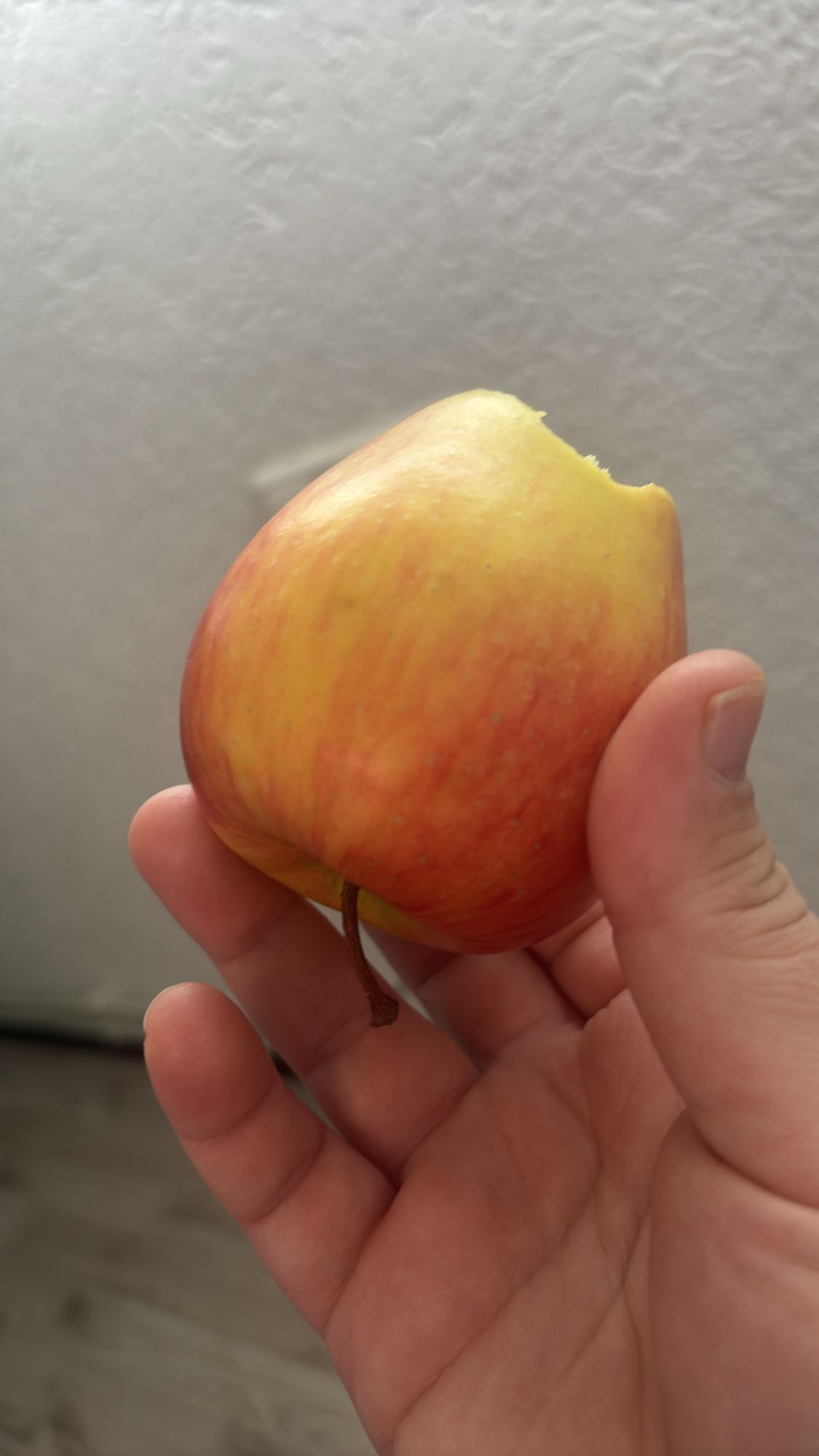 Manzana mordida