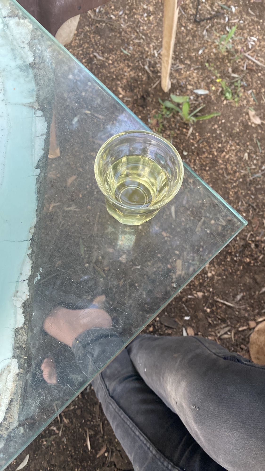 كوب شاي أخضر