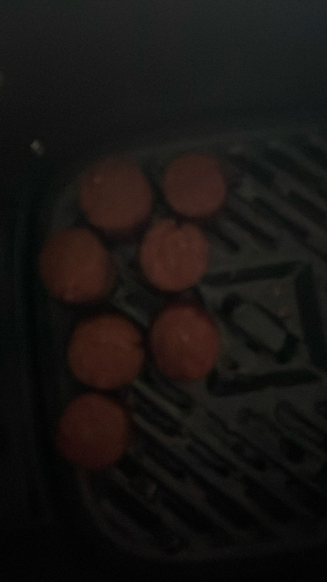 Grilled Sausage Patties