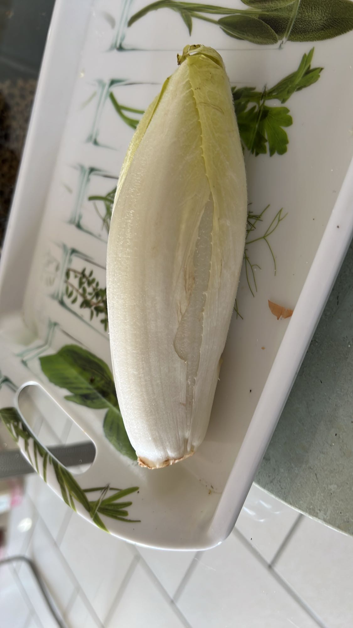 Endive fraîche