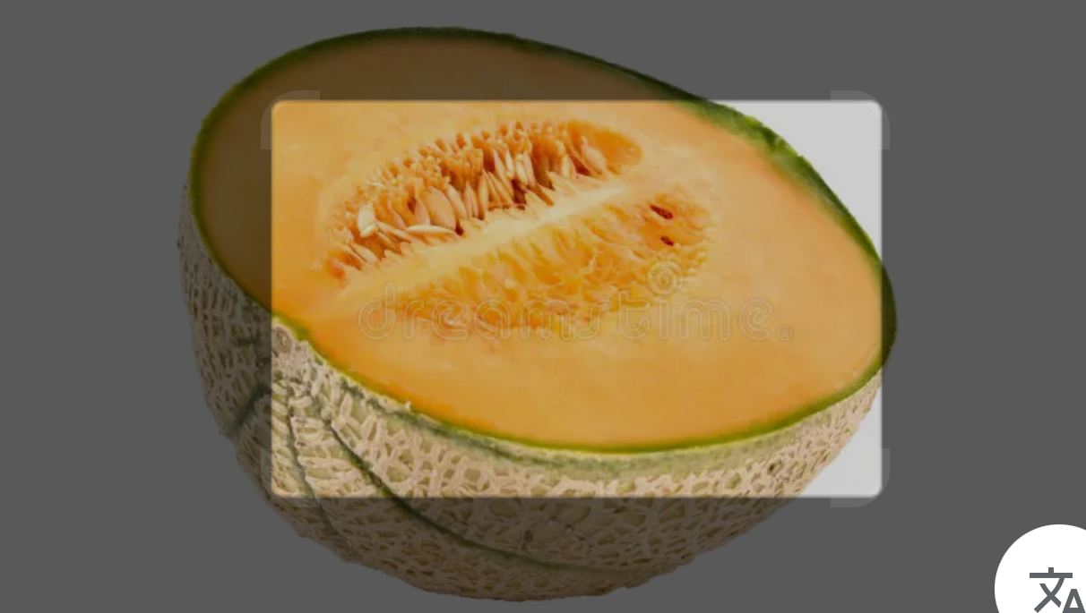 Melon frais
