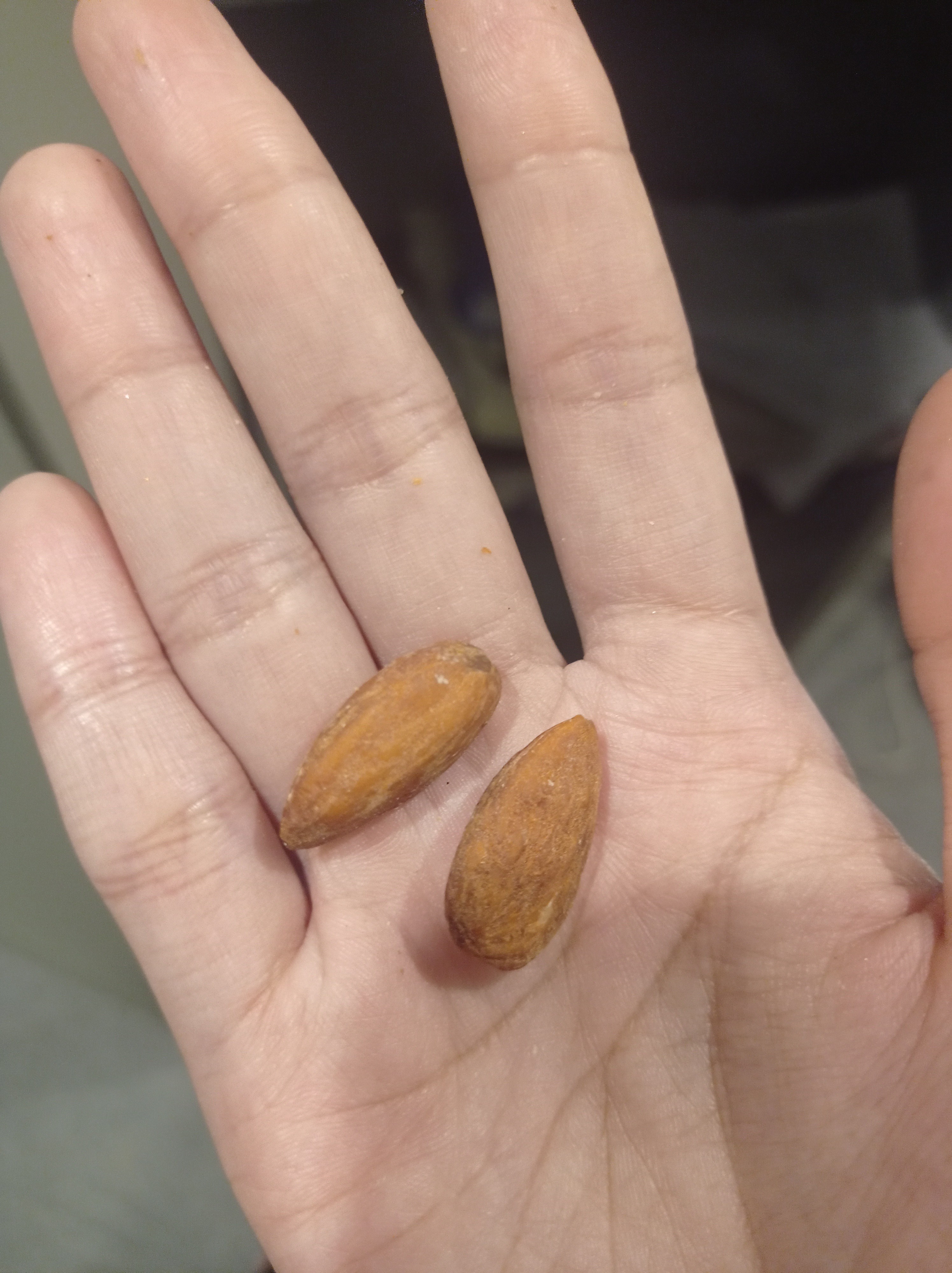 Two Almonds Snack